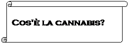 Pergamena 1: Cos' la cannabis?
